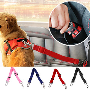 Correa de seguridad para perros en autos (43 hasta 70 cm)