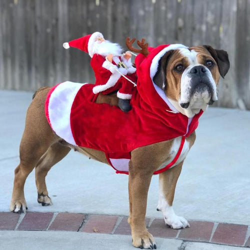 Traje de Santa Claus montando al perro