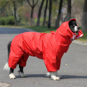 Impermeable para Pelu2