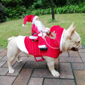 Traje de Santa Claus montando al perro