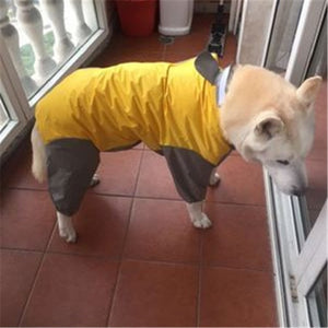 Impermeable para Pelu2