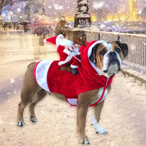 Traje de Santa Claus montando al perro